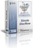 Автоматизация документооборота Sinzle Docflow