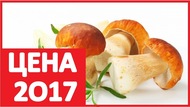 Сморчки куплю лисички 2017 г. Приём грибов белых оптом, продать дикоросы по цене завода!