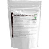 Биомасса Bacillus azotofixans BA55