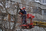 Снос и обрезка деревьев. Удаление пней в Новосибирске