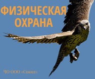 Физическая охрана