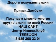 Покупаем акции Прииск Дамбуки по всей России