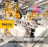 Разработка бизнес-плана инвестиционного  проекта создания производства газобетоная для ОЭЗ