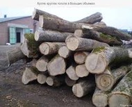 Кругляк тополь 18-60см продажа оптом