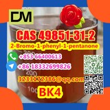 Manufacturer Supply Raw Material CAS 49851-31-2 2-Bromo-1-phenyl-1-pentanone